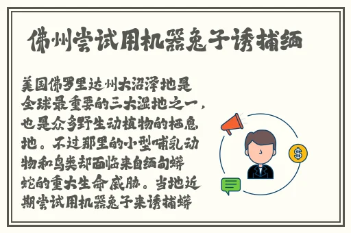 榴莲视频app释放